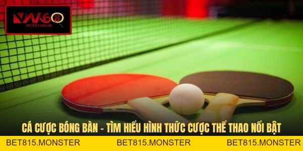 Blog VN168 - Góc Nhìn Mới Và Thông Tin Về Cá Cược - bet815.monster