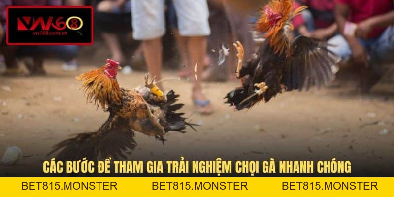 Đá Gà Thomo - Tận Hưởng Trận Đấu Đầy Nghẹt Thở Tại VN168 - bet815.monster