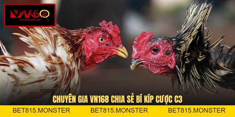 Đá Gà Trực Tiếp C3 - Trải Nghiệm Đỉnh Cao Tại VN168 - bet815.monster