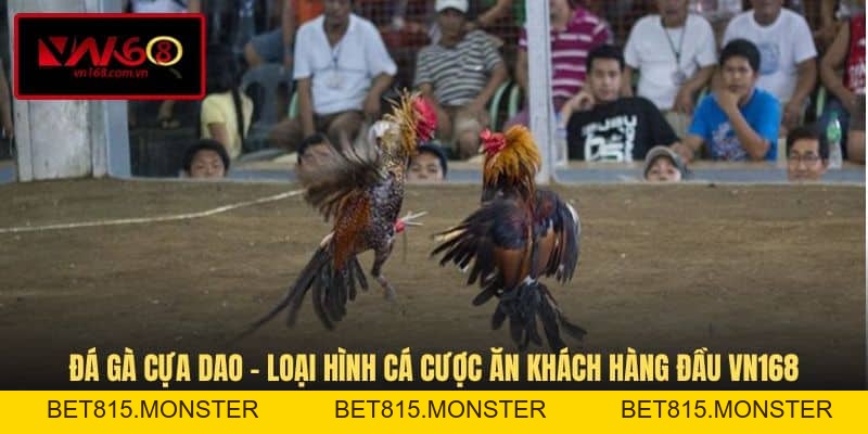 Đá Gà VN168 - Hình Thức Giải Trí Cá Cược Đầy Kịch Tính - bet815.monster