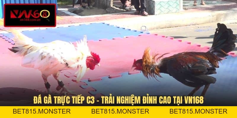Đá Gà VN168 - Hình Thức Giải Trí Cá Cược Đầy Kịch Tính - bet815.monster
