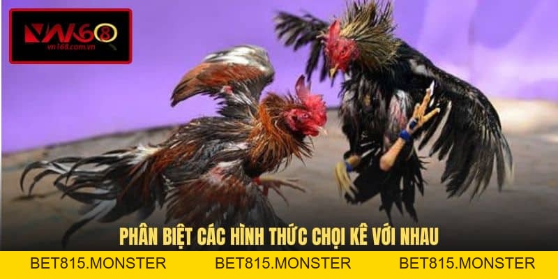 Đá Gà Cựa Dao - Loại Hình Cá Cược Ăn Khách Hàng Đầu VN168 - bet815.monster