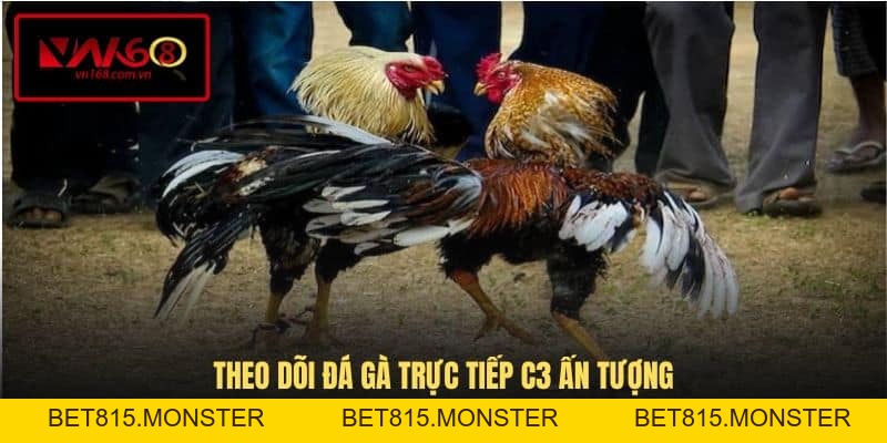 Đá Gà Trực Tiếp C3 - Trải Nghiệm Đỉnh Cao Tại VN168 - bet815.monster