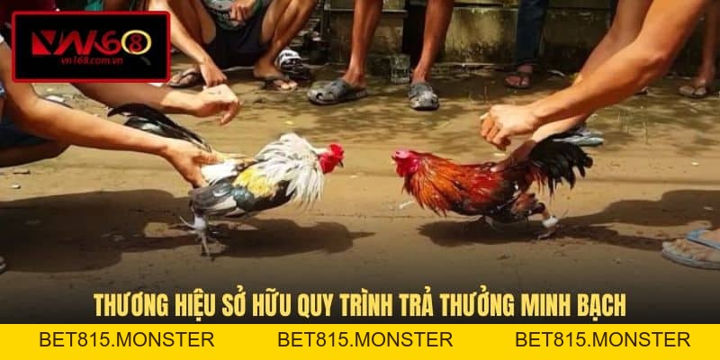 Đá Gà Thomo - Tận Hưởng Trận Đấu Đầy Nghẹt Thở Tại VN168 - bet815.monster