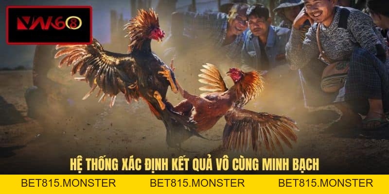 Đá Gà VN168 - Hình Thức Giải Trí Cá Cược Đầy Kịch Tính - bet815.monster