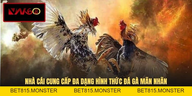 Đá Gà VN168 - Hình Thức Giải Trí Cá Cược Đầy Kịch Tính - bet815.monster