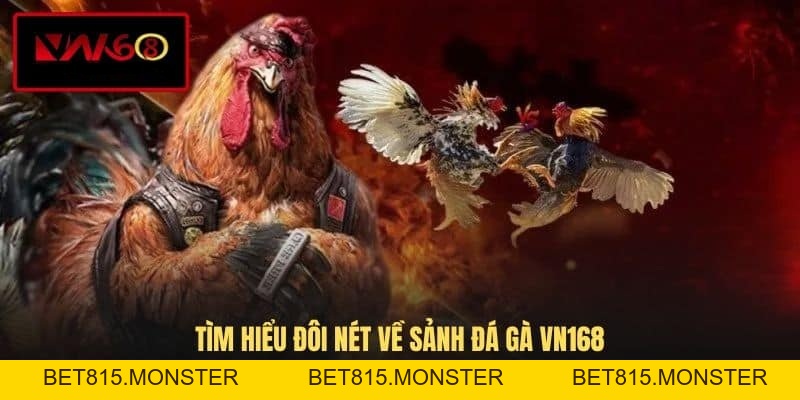 Đá Gà VN168 - Hình Thức Giải Trí Cá Cược Đầy Kịch Tính - bet815.monster